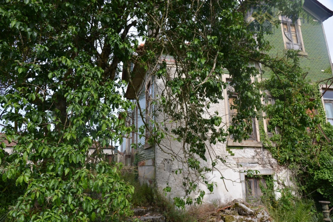 Quinta T11 para Venda em Santa Cruz do Douro e São Tomé de Covelas Foto 2