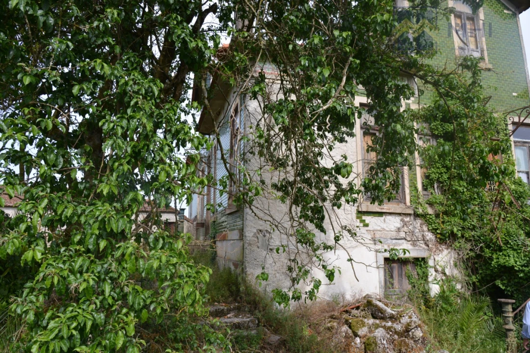 Quinta T11 para Venda em Santa Cruz do Douro e São Tomé de Covelas Foto 7
