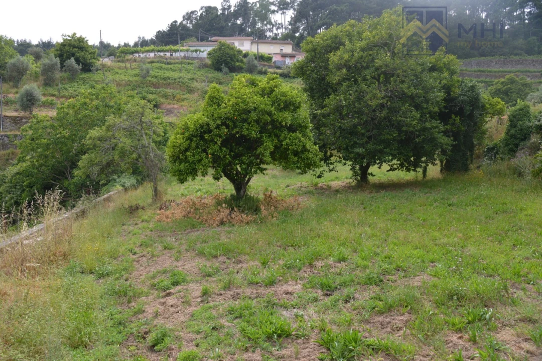 Quinta T11 para Venda em Santa Cruz do Douro e São Tomé de Covelas Foto 24