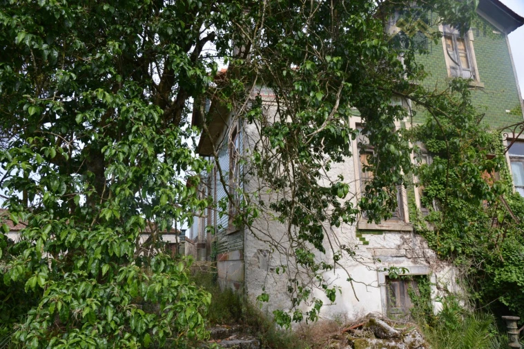 Quinta T11 para Venda em Santa Cruz do Douro e São Tomé de Covelas Foto 2
