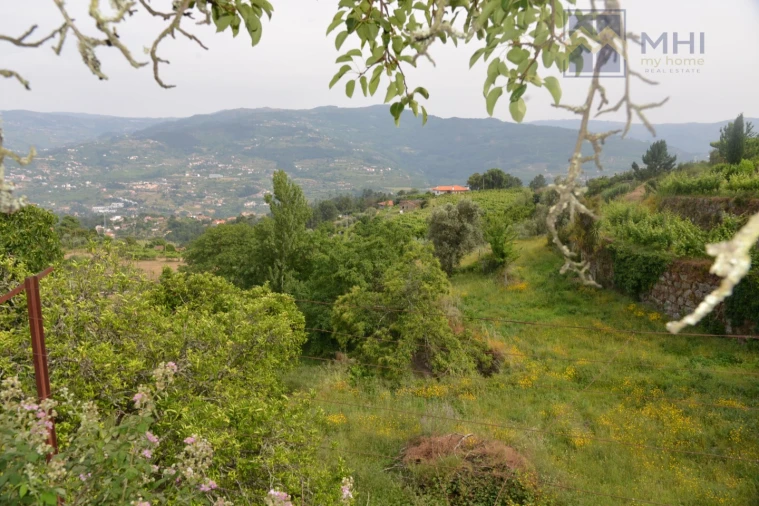Quinta T11 para Venda em Santa Cruz do Douro e São Tomé de Covelas Foto 5