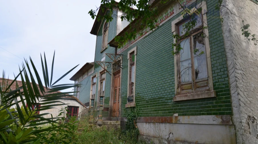 Quinta T11 para Venda em Santa Cruz do Douro e São Tomé de Covelas Foto 8