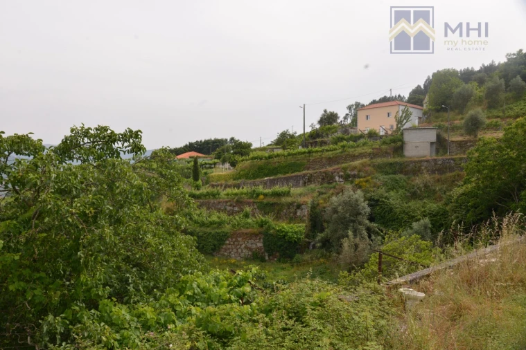 Quinta T11 para Venda em Santa Cruz do Douro e São Tomé de Covelas Foto 23