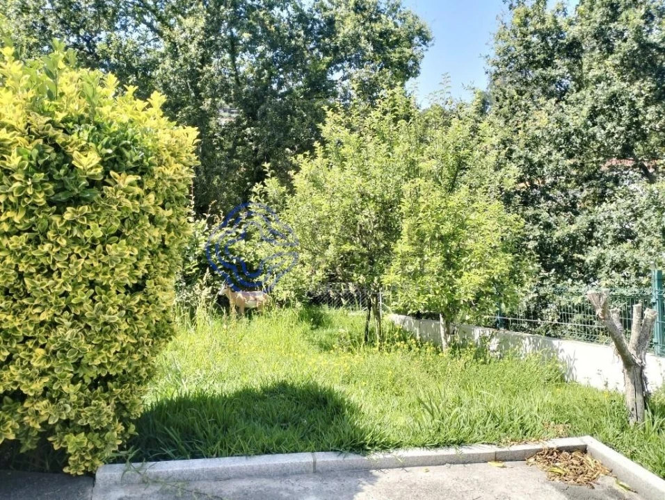 Quinta T3 para Venda em O. Azeméis, Riba-Ul, Ul, Macinhata Seixa, Madail Foto 13
