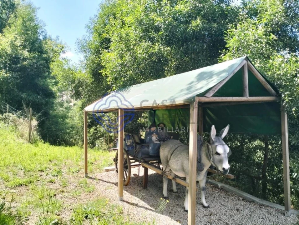 Quinta T3 para Venda em O. Azeméis, Riba-Ul, Ul, Macinhata Seixa, Madail Foto 15