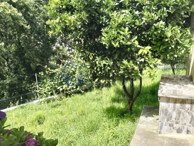 Quinta T3 para Venda em O. Azeméis, Riba-Ul, Ul, Macinhata Seixa, Madail Foto 57