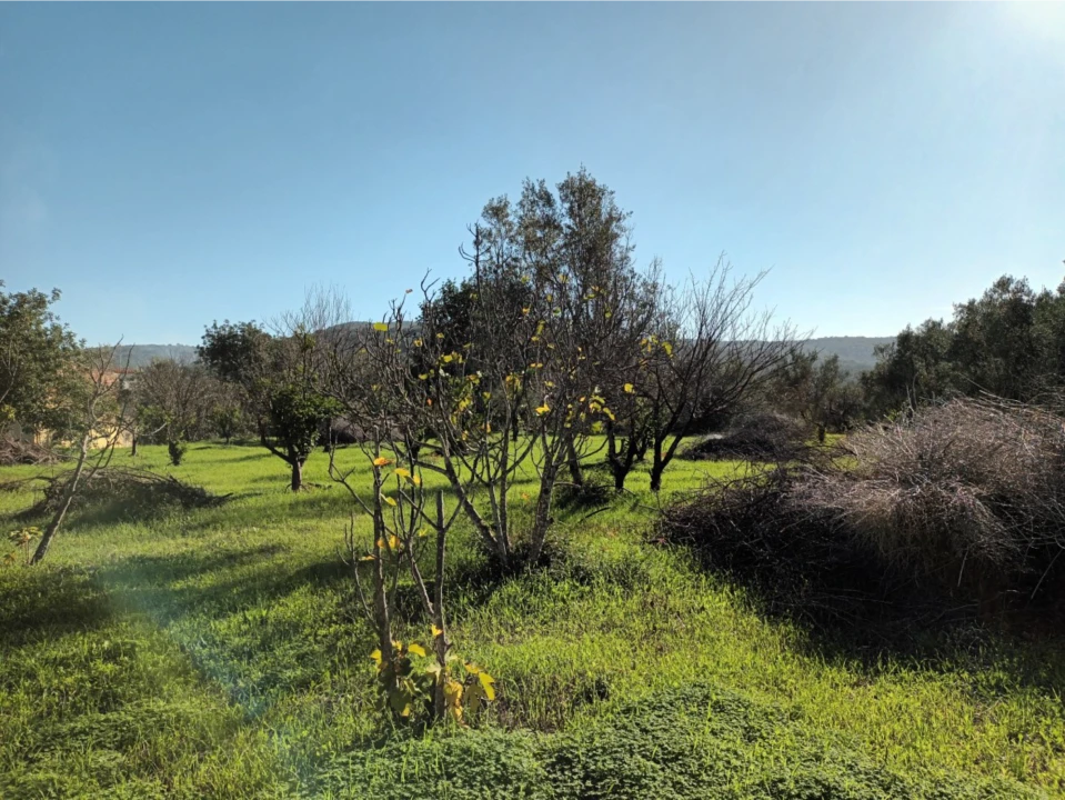 Terreno para Venda em Loule (São Clemente) Foto 5