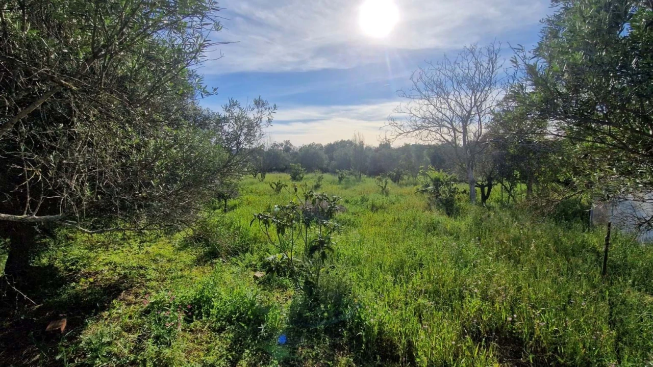 Terreno para Venda em Loule (São Clemente) Foto 4