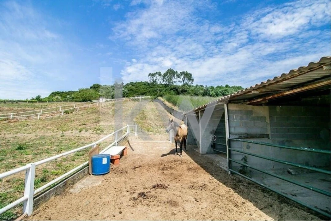 Quinta T5 para Venda em Sobral de Monte Agraço Foto 49