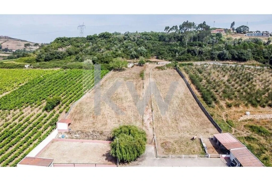 Quinta T5 para Venda em Sobral de Monte Agraço Foto 54