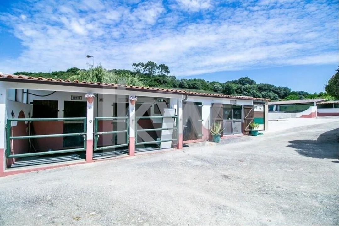 Quinta T5 para Venda em Sobral de Monte Agraço Foto 60