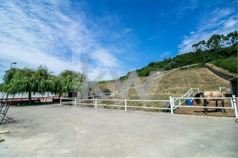 Quinta T5 para Venda em Sobral de Monte Agraço Foto 50