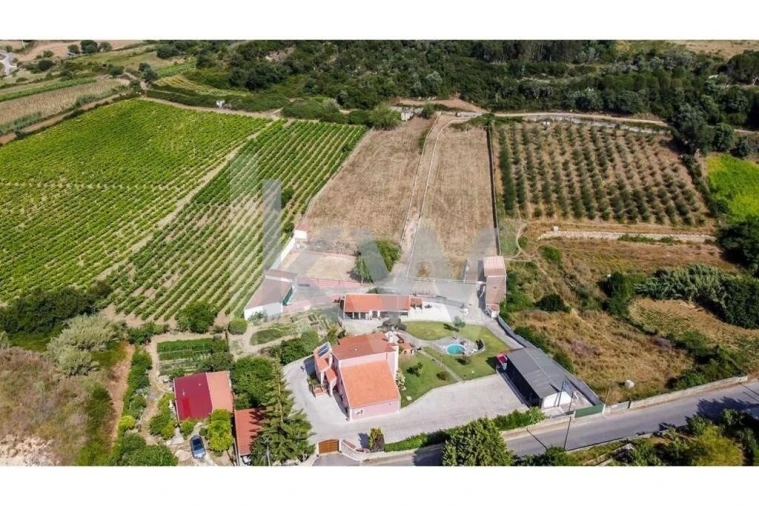 Quinta T5 para Venda em Sobral de Monte Agraço Foto 56