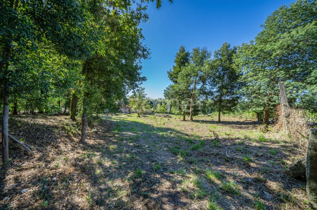 Quinta T3 para Venda em Marrancos e Arcozelo Foto 16