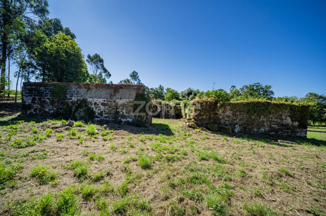 Quinta T3 para Venda em Marrancos e Arcozelo Foto 13
