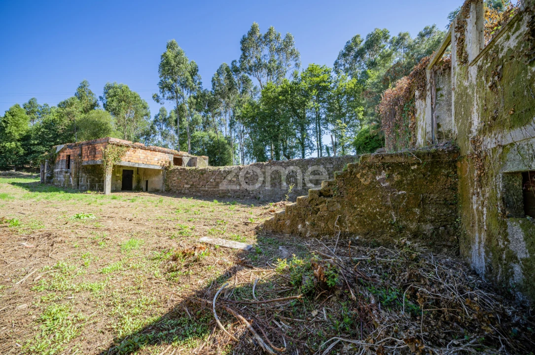 Quinta T3 para Venda em Marrancos e Arcozelo Foto 11