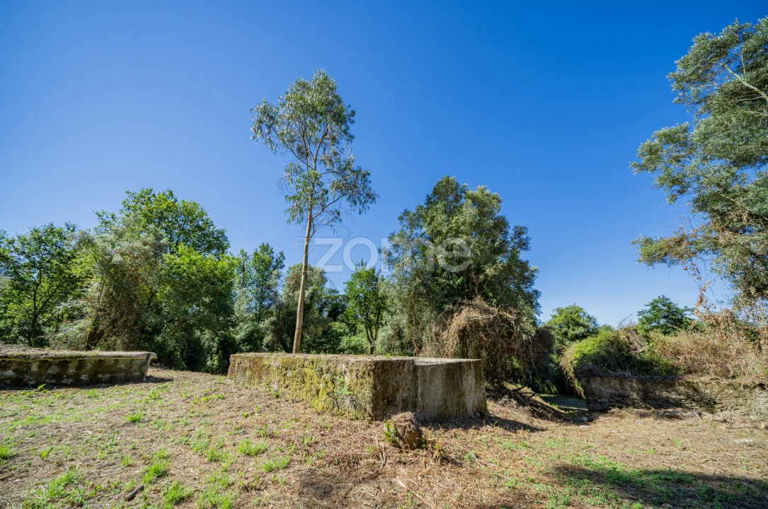 Quinta T3 para Venda em Marrancos e Arcozelo Foto 15