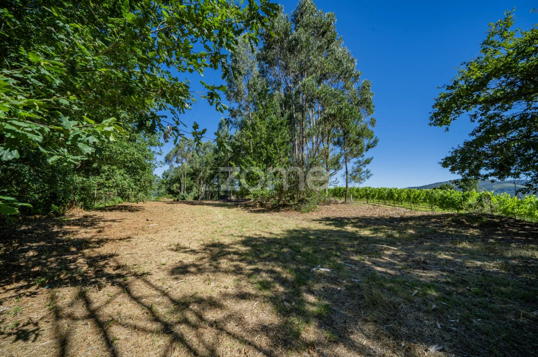 Quinta T3 para Venda em Marrancos e Arcozelo Foto 22