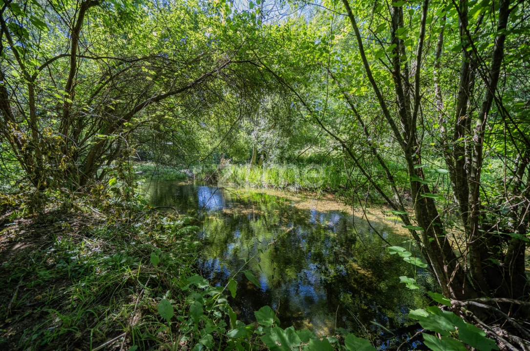 Quinta T3 para Venda em Marrancos e Arcozelo Foto 26