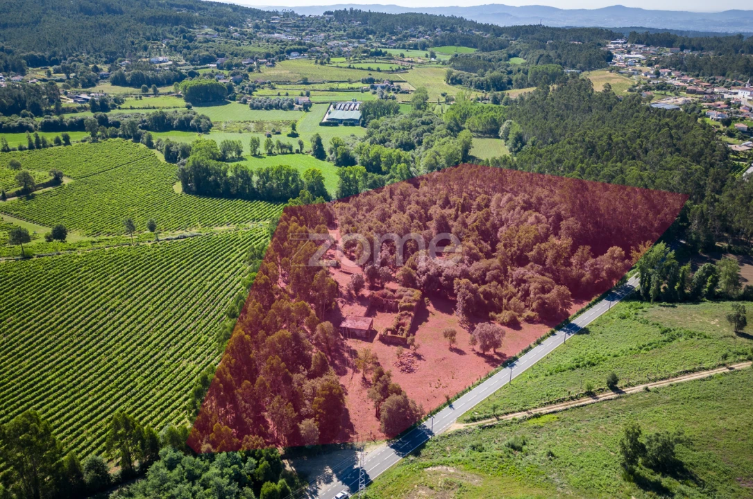 Quinta T3 para Venda em Marrancos e Arcozelo Foto 32