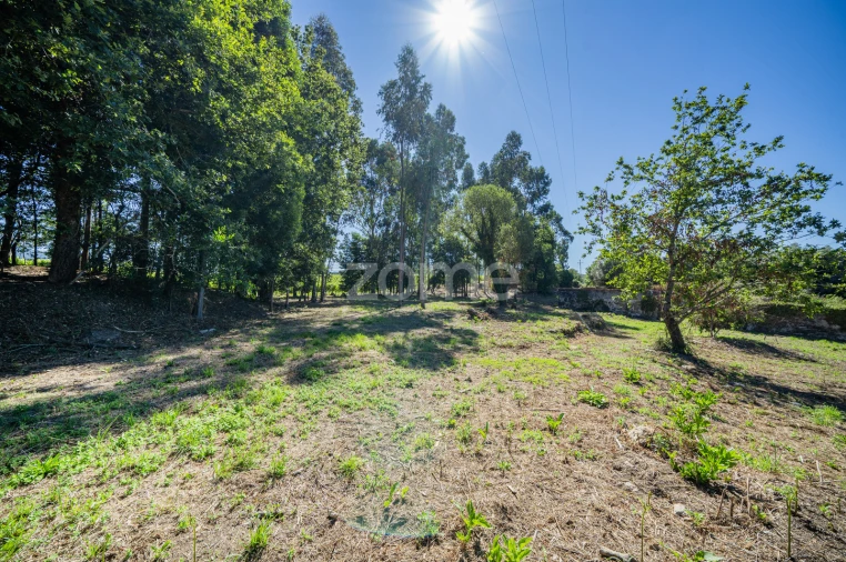 Quinta T3 para Venda em Marrancos e Arcozelo Foto 18