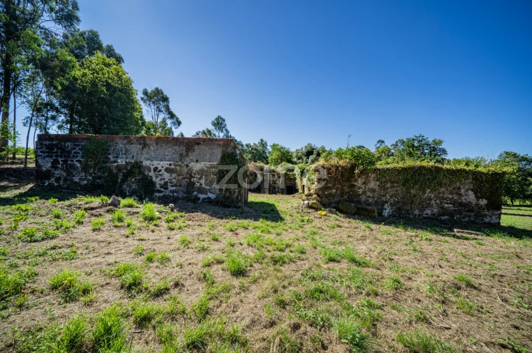 Quinta T3 para Venda em Marrancos e Arcozelo Foto 13