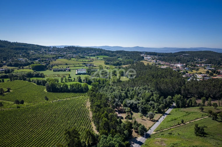 Quinta T3 para Venda em Marrancos e Arcozelo Foto 3