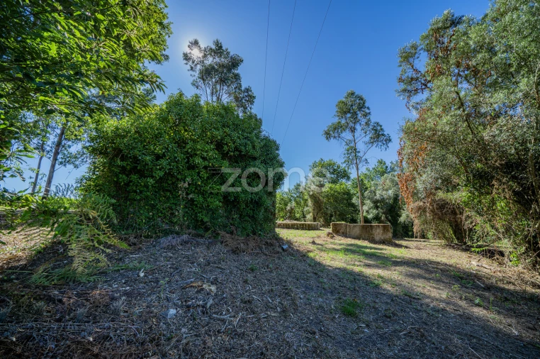 Quinta T3 para Venda em Marrancos e Arcozelo Foto 19