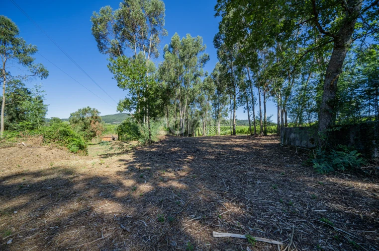 Quinta T3 para Venda em Marrancos e Arcozelo Foto 21