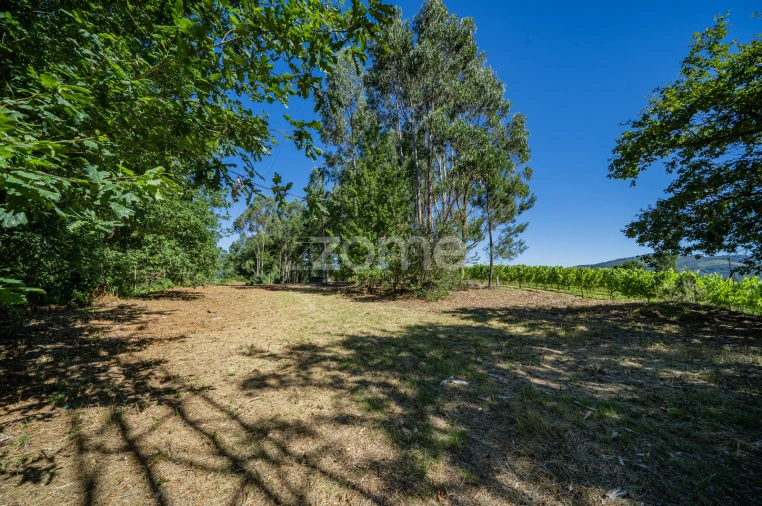 Quinta T3 para Venda em Marrancos e Arcozelo Foto 22