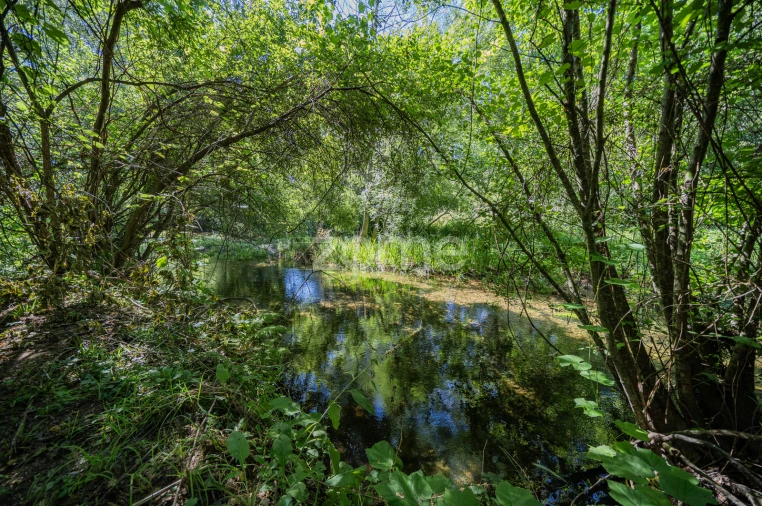 Quinta T3 para Venda em Marrancos e Arcozelo Foto 26