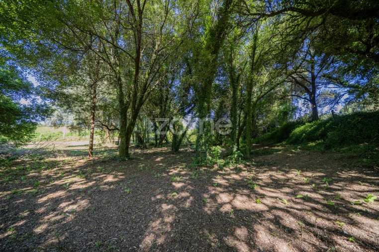 Quinta T3 para Venda em Marrancos e Arcozelo Foto 23