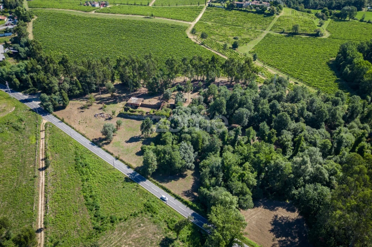 Quinta T3 para Venda em Marrancos e Arcozelo Foto 2