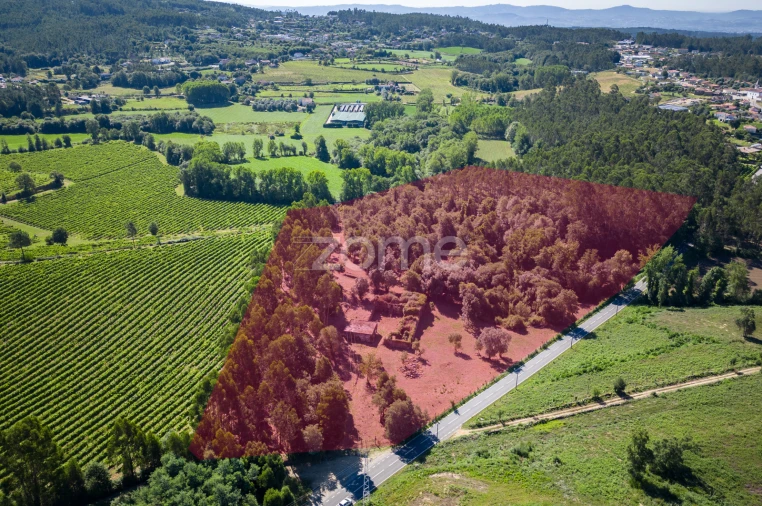 Quinta T3 para Venda em Marrancos e Arcozelo Foto 32