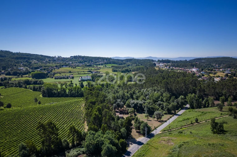 Quinta T3 para Venda em Marrancos e Arcozelo Foto 4
