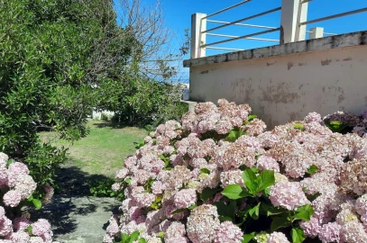 Moradia T10 para Venda em Nazare