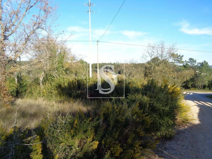 Terreno para Venda em Seiça Foto 1