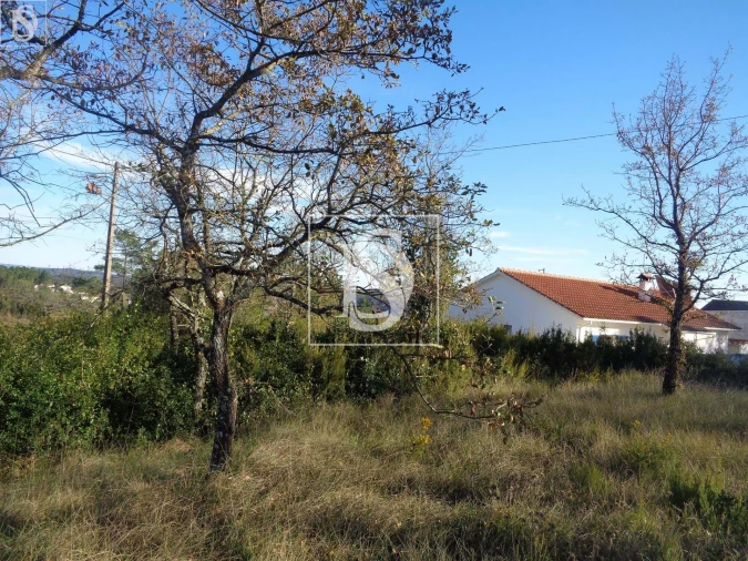 Terreno para Venda em Seiça Foto 4