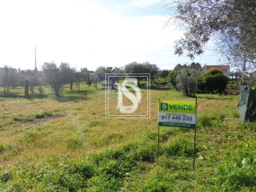 Terreno para Venda em Nossa Senhora da Piedade