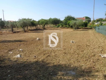 Terreno para Venda em Nossa Senhora da Piedade