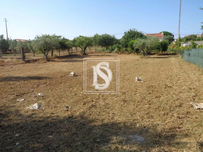 Terreno para Venda em Nossa Senhora da Piedade