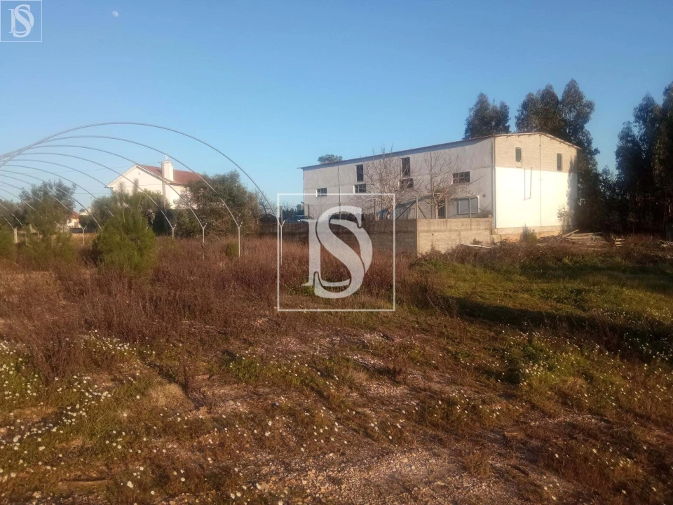 Armazém para Venda em Caxarias Foto 4