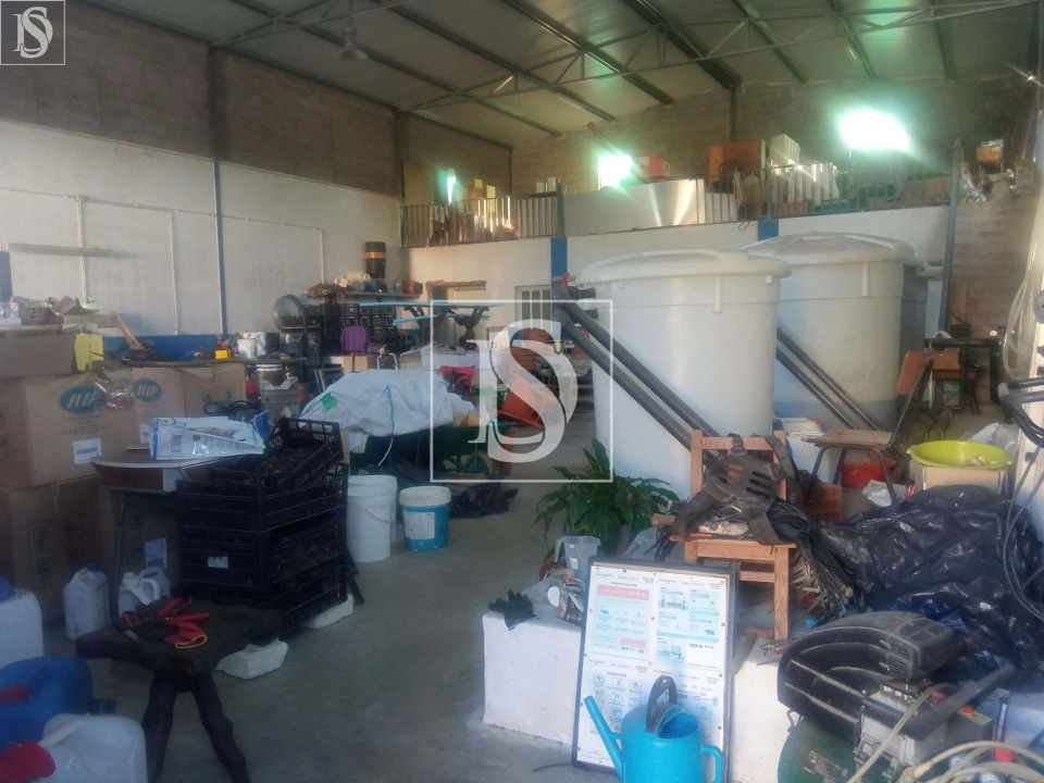 Armazém para Venda em Caxarias Foto 6