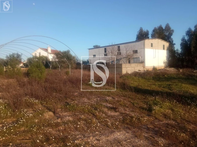 Armazém para Venda em Caxarias Foto 4