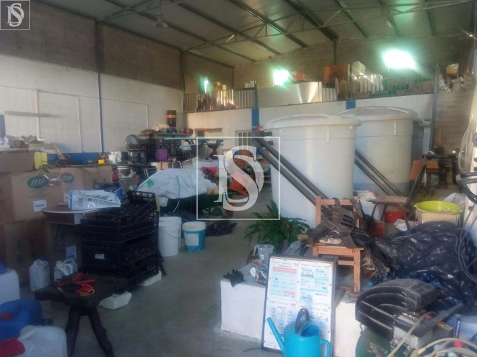 Armazém para Venda em Caxarias Foto 6