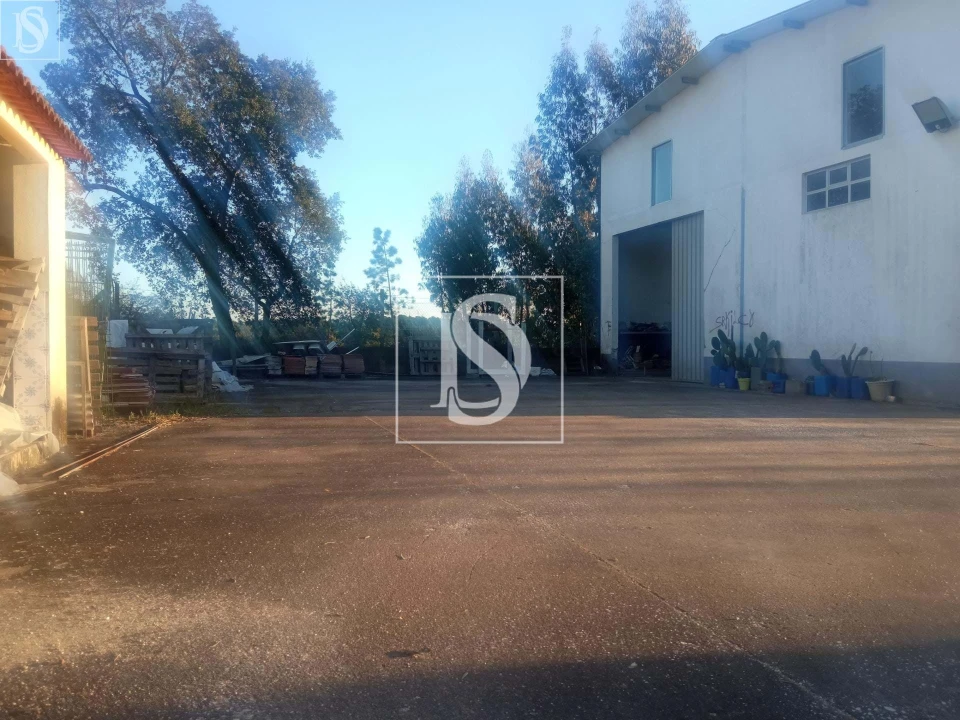 Armazém para Venda em Caxarias Foto 2