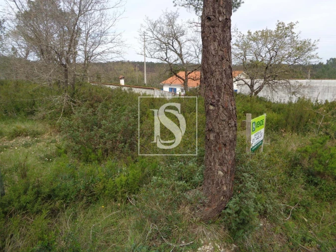 Terreno para Venda em Seiça Foto 4