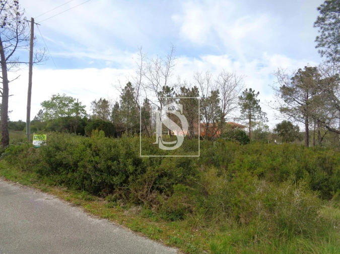 Terreno para Venda em Seiça Foto 3