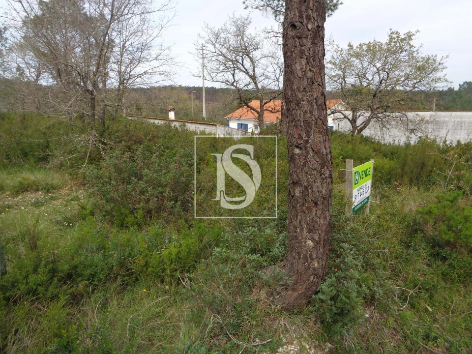 Terreno para Venda em Seiça Foto 4