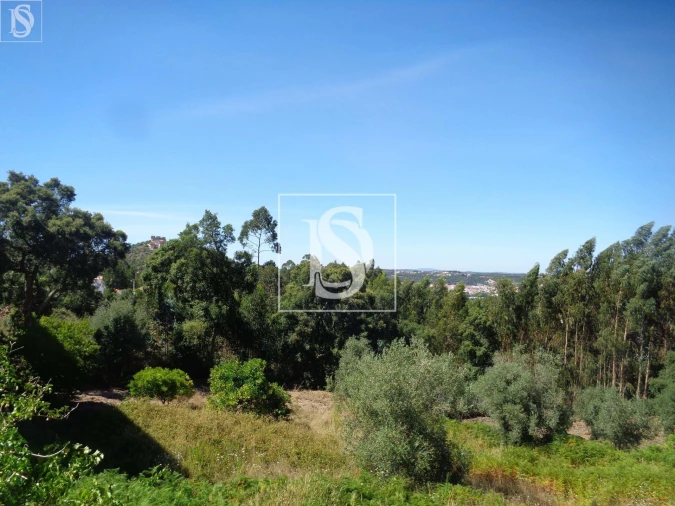 Moradia T3 para Venda em Nossa Senhora das Misericordias Foto 16